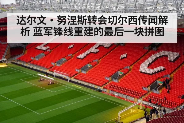 达尔文·努涅斯转会切尔西传闻解析 蓝军锋线重建的最后一块拼图